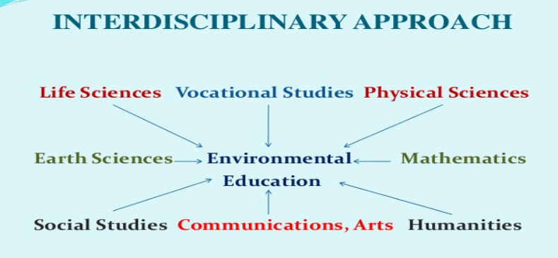 Breaking Down Silos: Why Interdisciplinary Learning is Essential for STEM Education