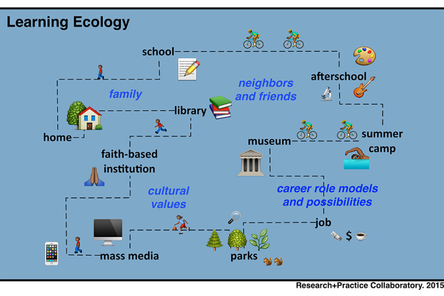 Integrating Environmental Science into STEM Education: A Path Towards Sustainability