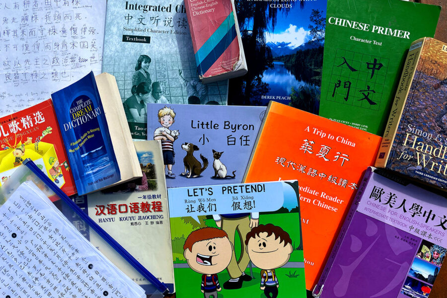 Immerse Yourself: Creating a Language Immersion Environment for Effortless Learning