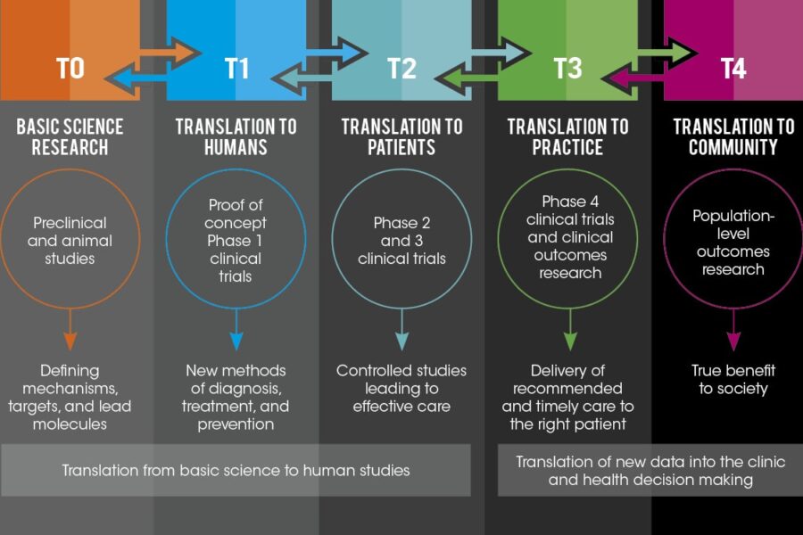 Unleashing the Power of Academic Resources: A Guide to Enhancing Research Translation
